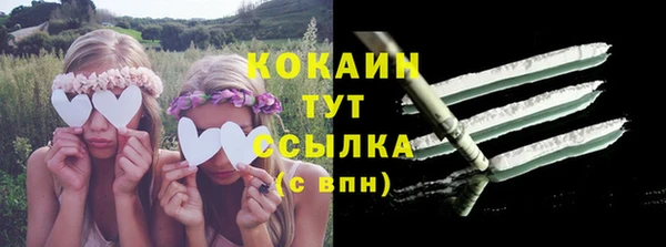 соль ск Кулебаки